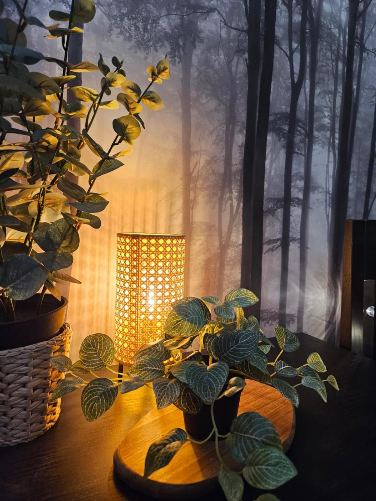Cracovia Luxury Bright Apartment Great Location Sauna ภายนอก รูปภาพ